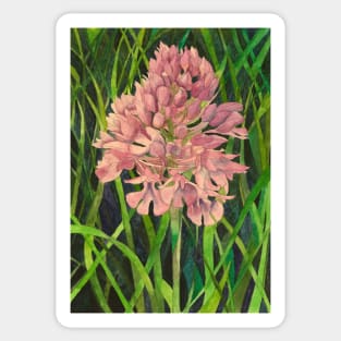 Wild orchids watercolour painting Sticker